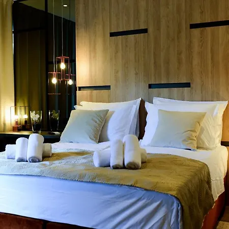 Gasthuis The Lion 4*